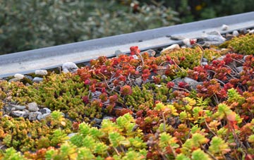 the cost of West Auckland green roof installation