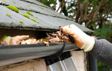 gutter cleaning West Auckland, County Durham