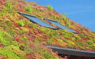 West Auckland living roof systems