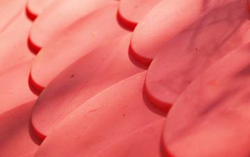 West Auckland plastic roof costs