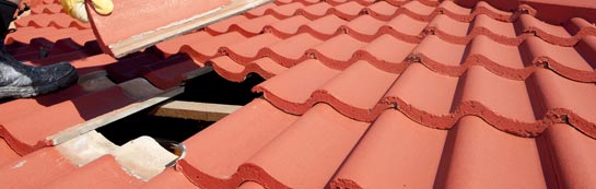 compare West Auckland roof repair quotes