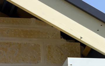 soffit repair West Auckland