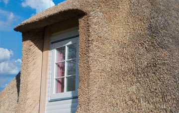 West Auckland thatch roof disadvantages