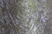 West Auckland fibreglass roof work