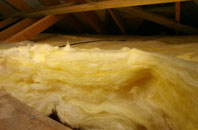 West Auckland pitch roof insulation
