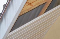 rated West Auckland soffit repair companies